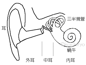 外耳中耳内耳三半規管蝸牛　東京新宿の鍼灸こいち治療院